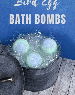 bird egg bath bombs