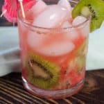 Watermelon Kiwi Spritzer