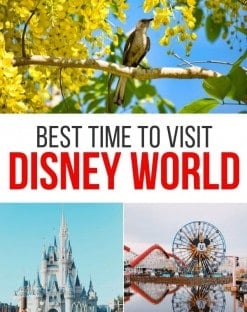 Best Time of Year to Visit Disney