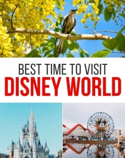 Best Time of Year to Visit Disney