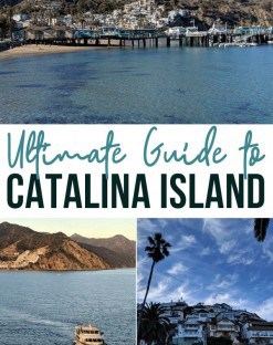 Ultimate Guide to Catalina Island