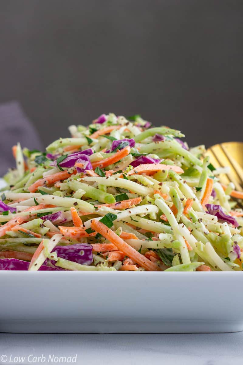 close up view Broccoli Slaw