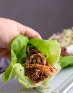 cropped-Low-Carb-Pulled-Pork-Recipe-12.jpg