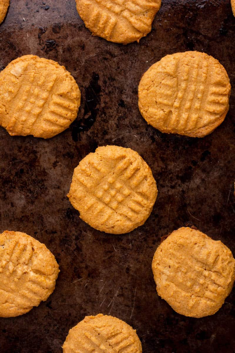 sugar free peanut butter cookies