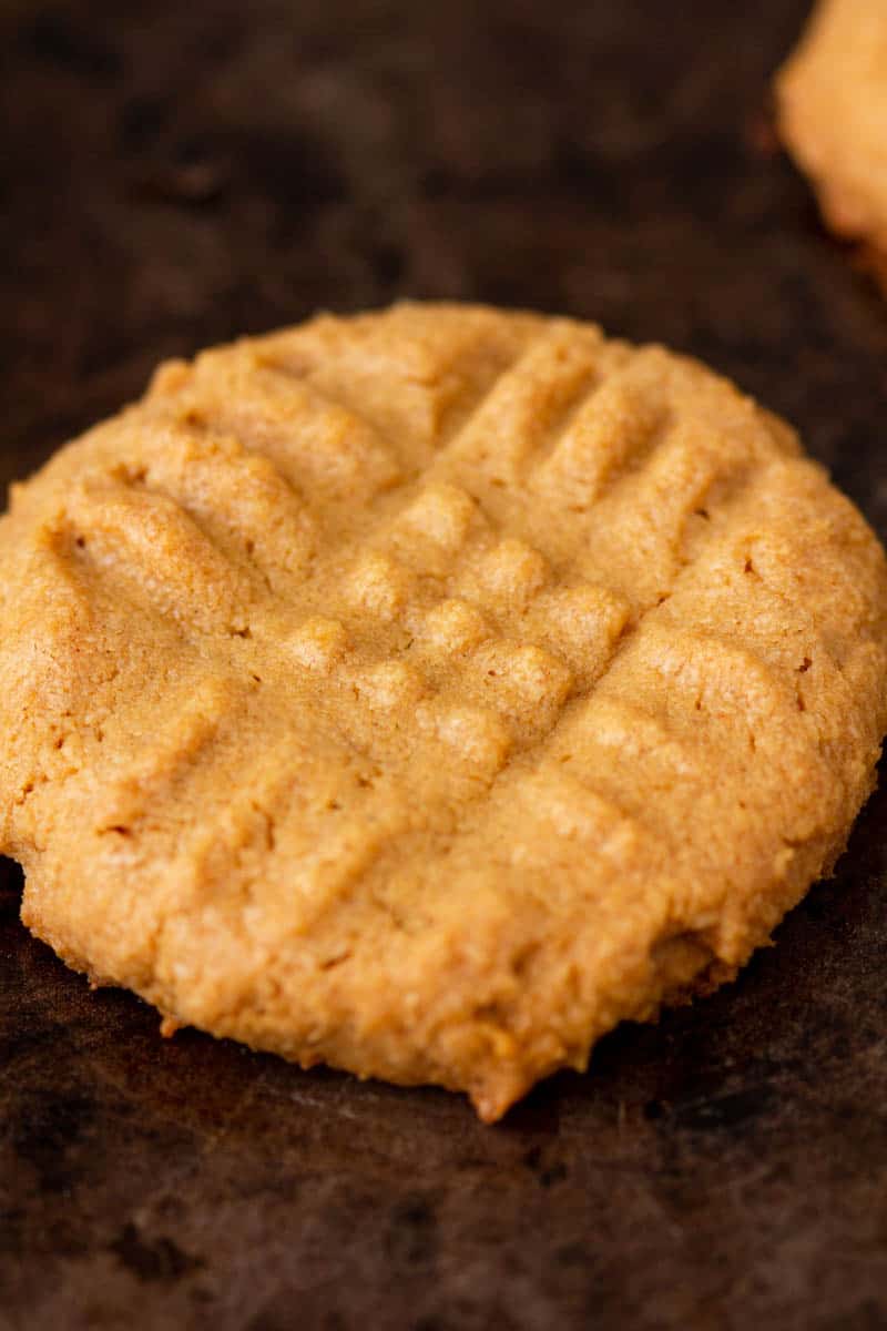 low carb peanut butter cookies