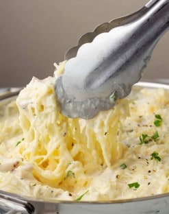 Chicken Alfredo Spaghetti Squash