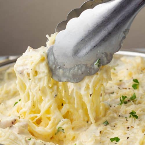 Chicken Alfredo Spaghetti Squash