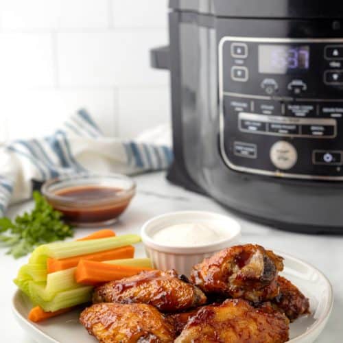 plate with sugar free BBQ Air fried wings