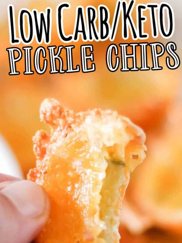 Keto Pickle Chips • Low Carb Nomad