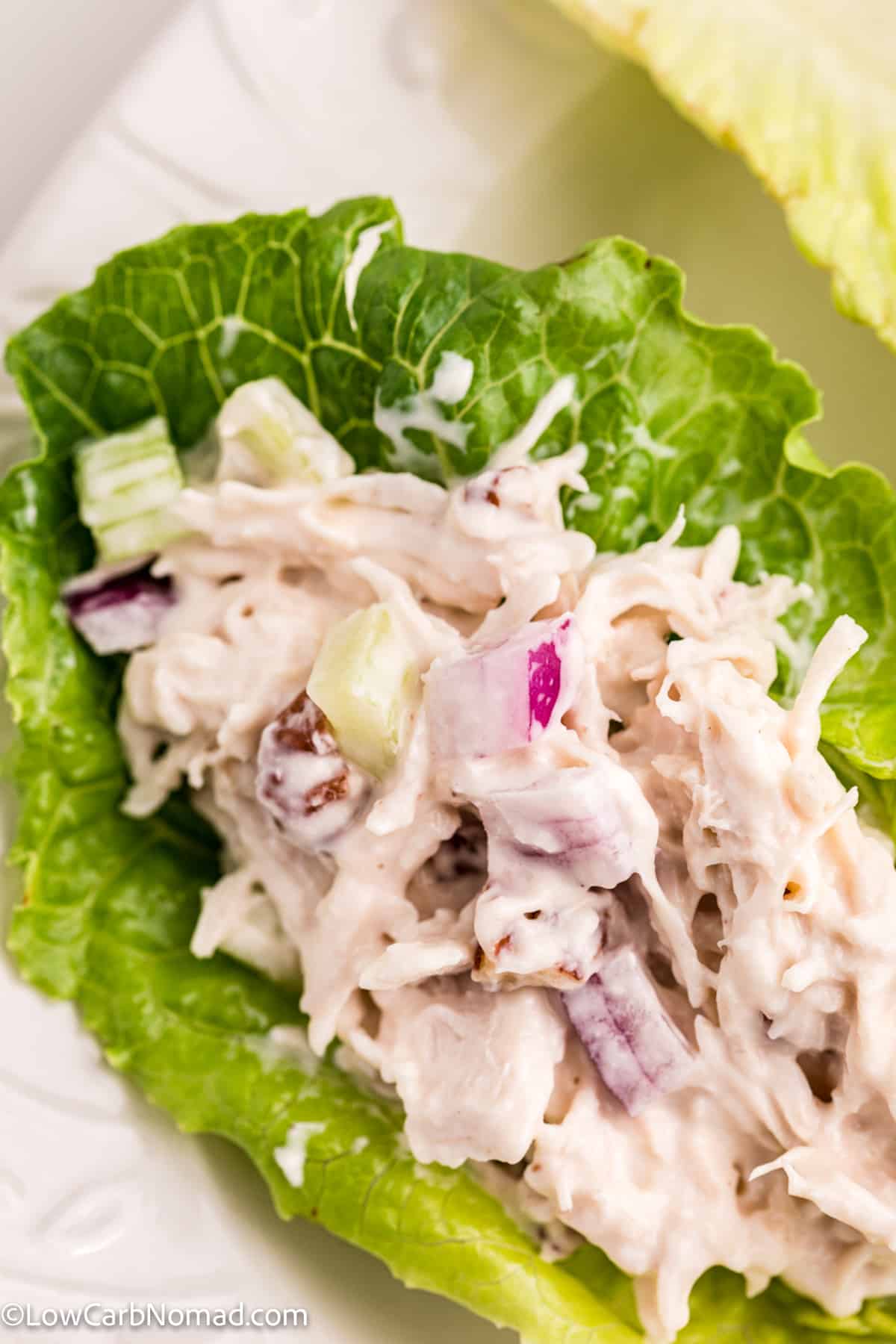 low carb chicken salad in a romaine lettuce leaf