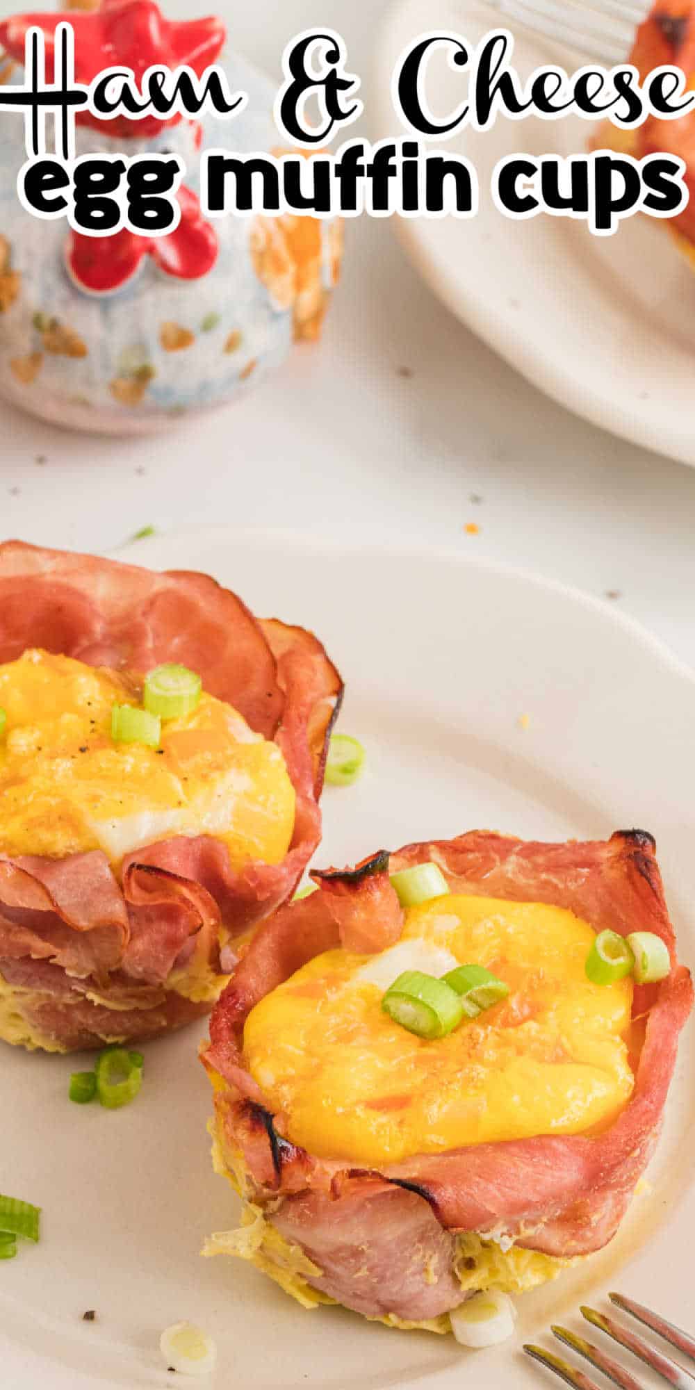 Keto Ham And Cheese Egg Muffin Cups Recipe Low Carb Nomad keto-ham-and-cheese-egg-muffin-cups-recipe-low-carb-nomad