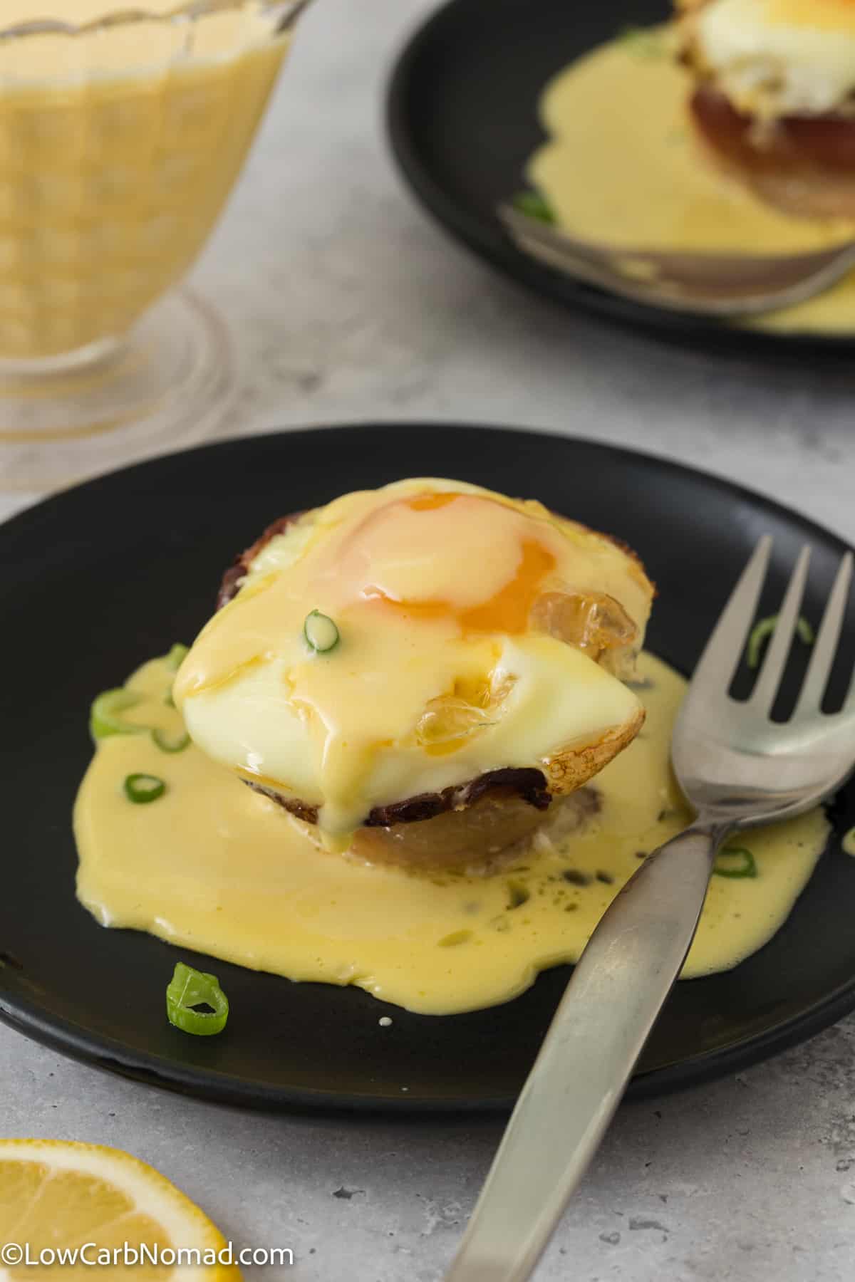 Easy Blender Hollandaise Sauce Recipe